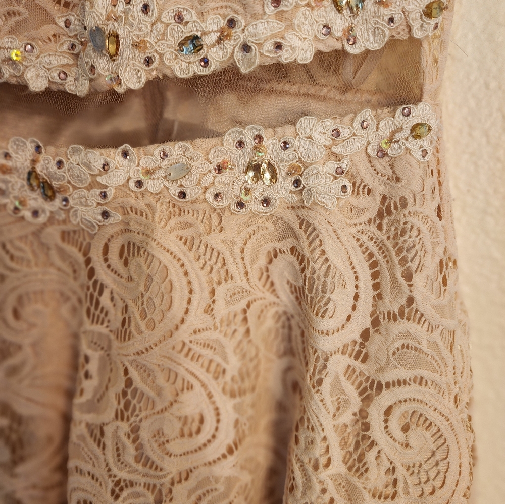 Anny Lee Lace Dress Size M - Picture 2 of 12